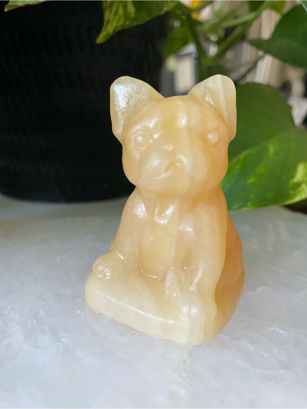 Honey Calcite Bulldog Figurine in Warm Cream and Yellow